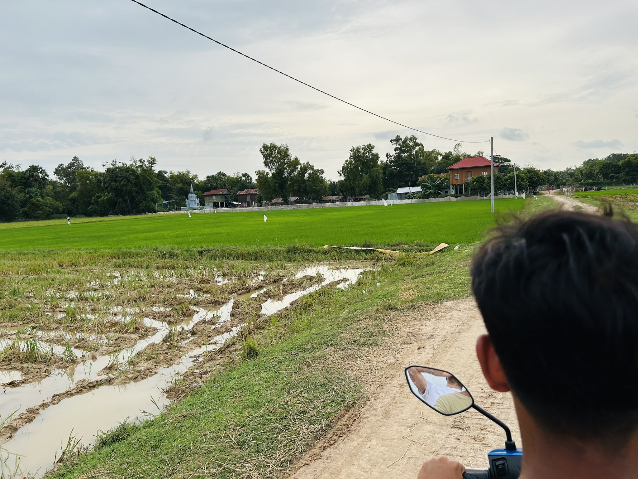 bike-ride-rice-paddies View from the back of a motorbike riding through lush green rice paddies in rural Cambodia near the Vietnam border.